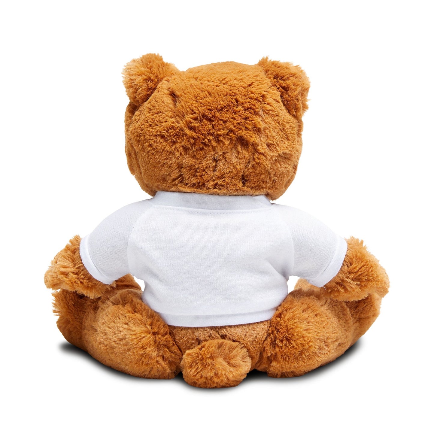 Teddy bear,Cute Teddy Bear with Inspirational Tee - Unique Gift for Encouragement